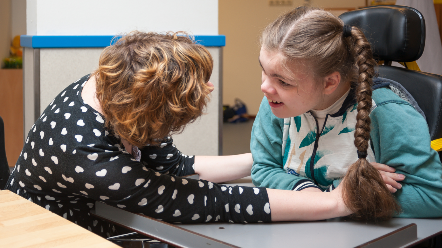Government support for families with disabled children - The Disability ...